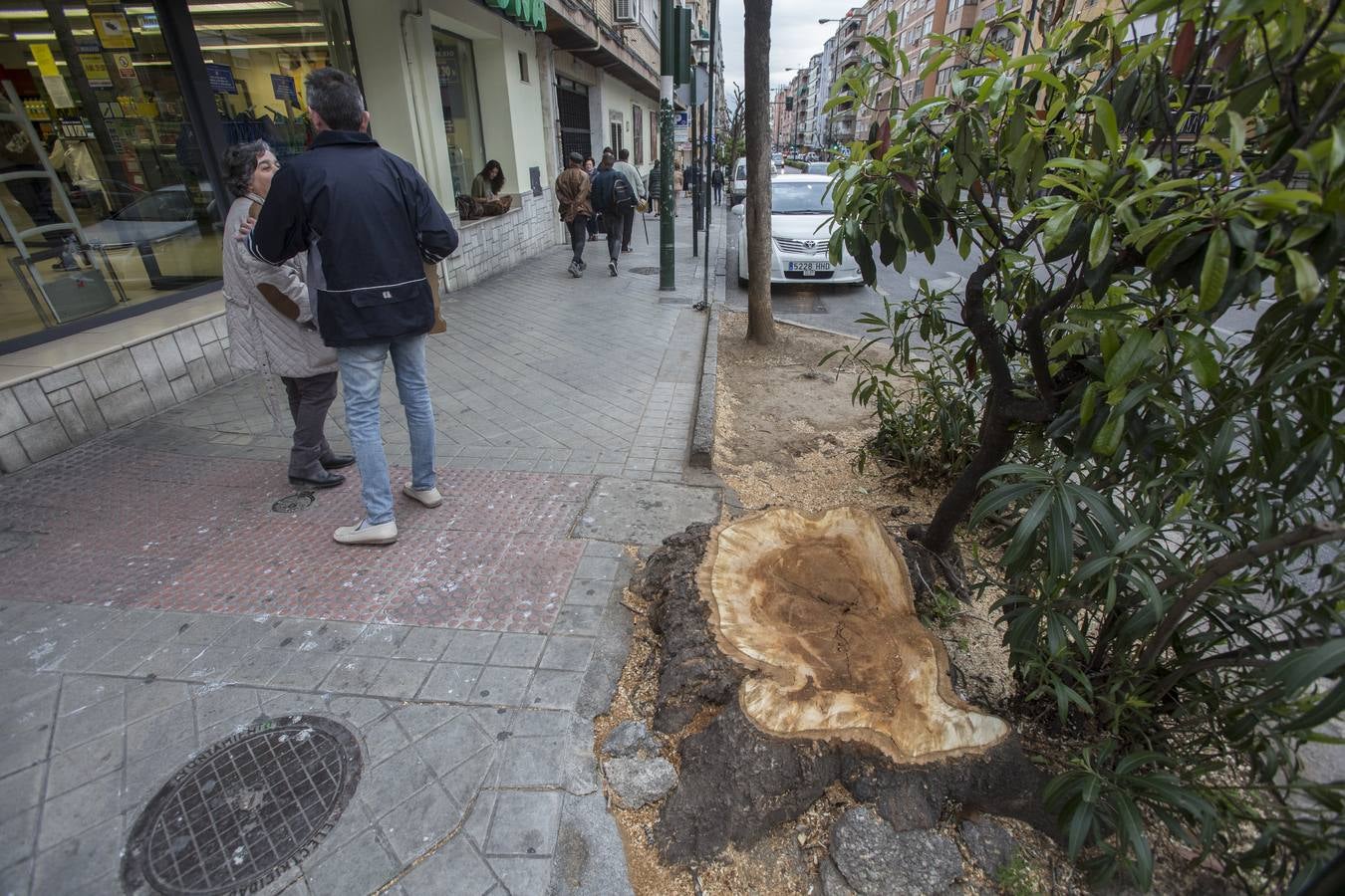 El Camino de Ronda quiere volver a ser verde