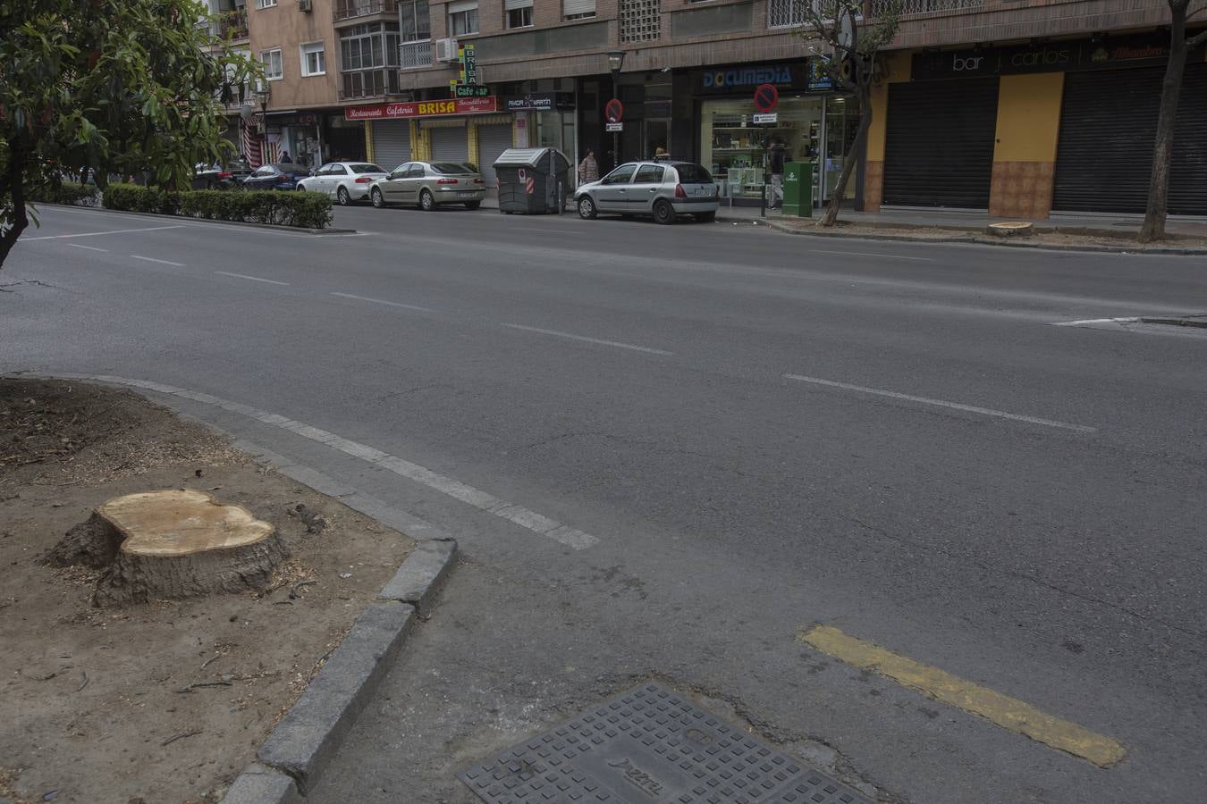 El Camino de Ronda quiere volver a ser verde