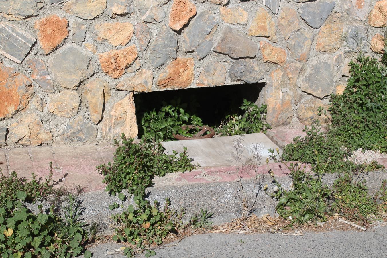 La paciencia de los hijos de la Juaida