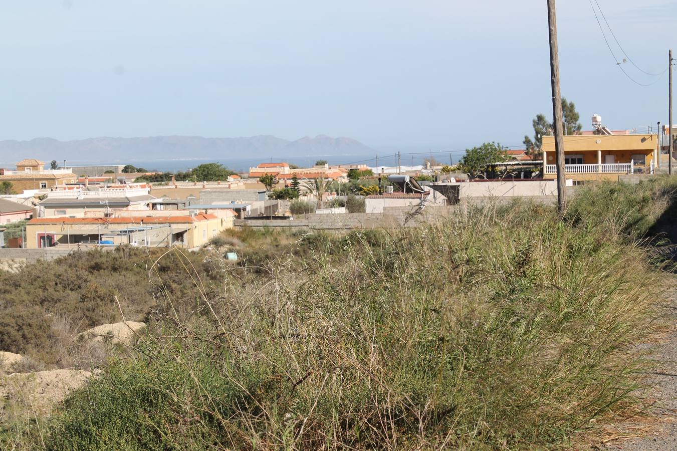 La paciencia de los hijos de la Juaida