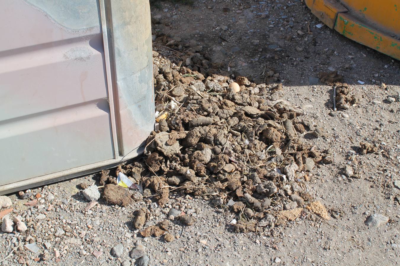 La paciencia de los hijos de la Juaida