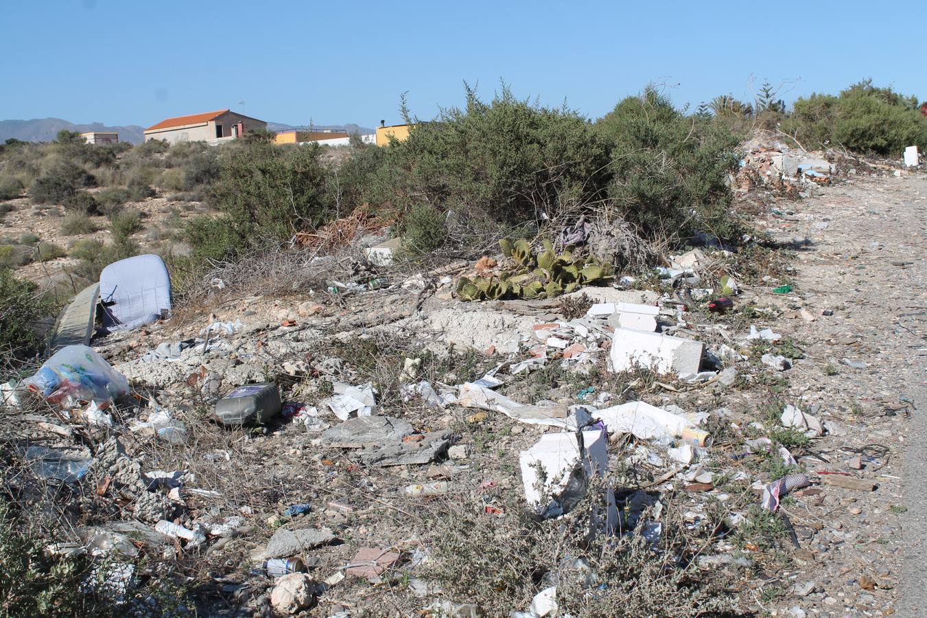 La paciencia de los hijos de la Juaida