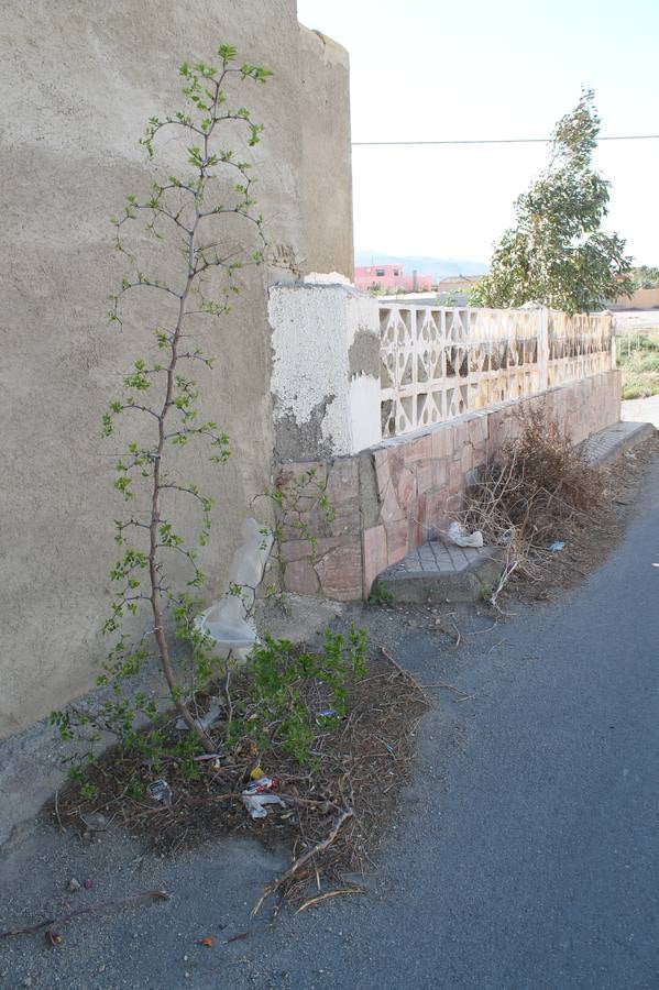La paciencia de los hijos de la Juaida