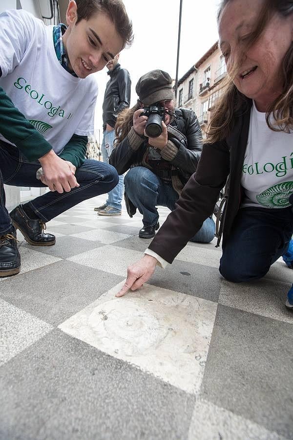 Fósiles en Granada