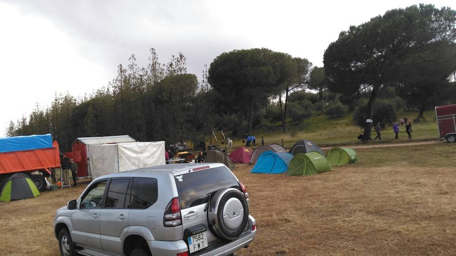 Al Rocío desde Jaén con la lluvia como compañía