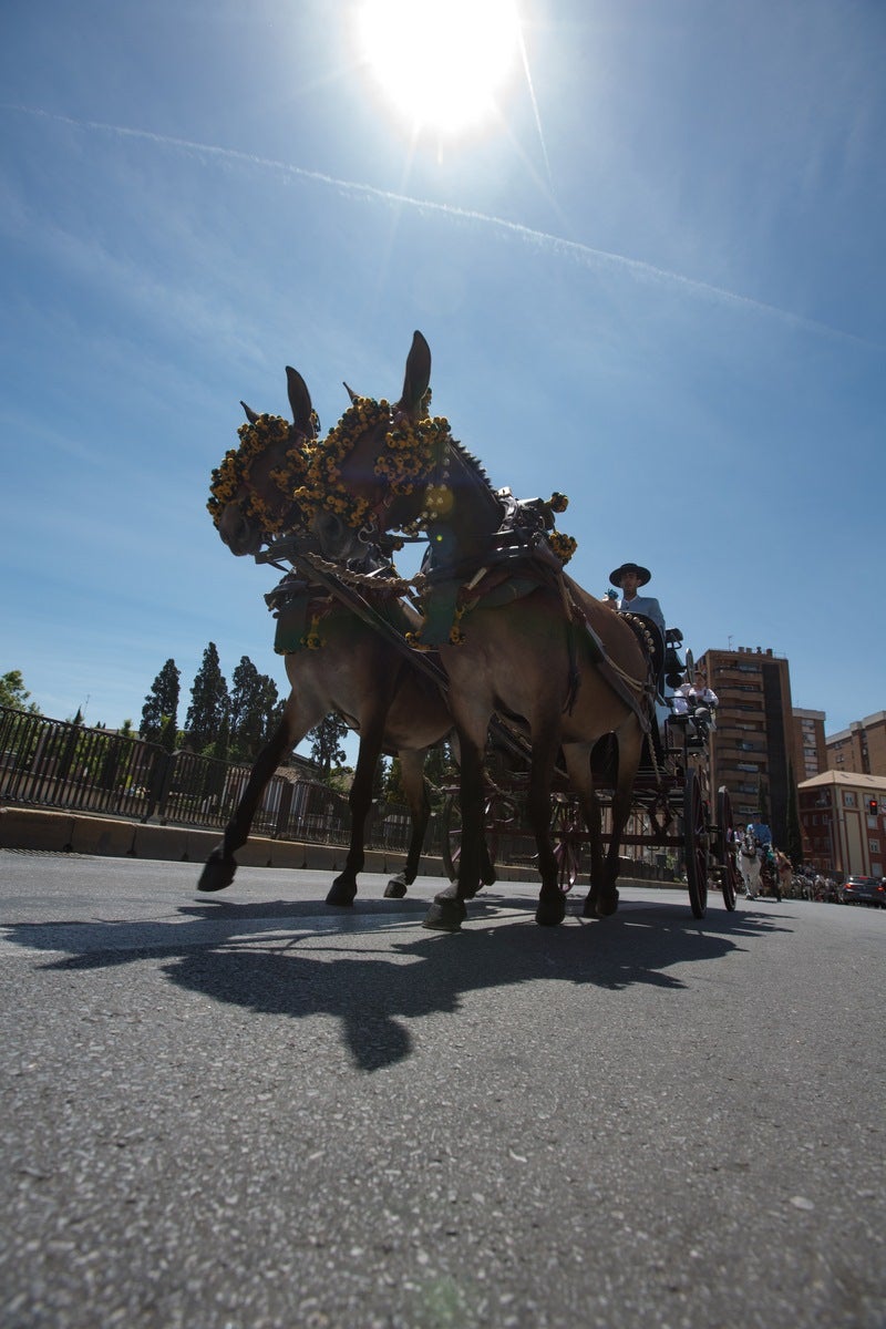 Concurso de enganches