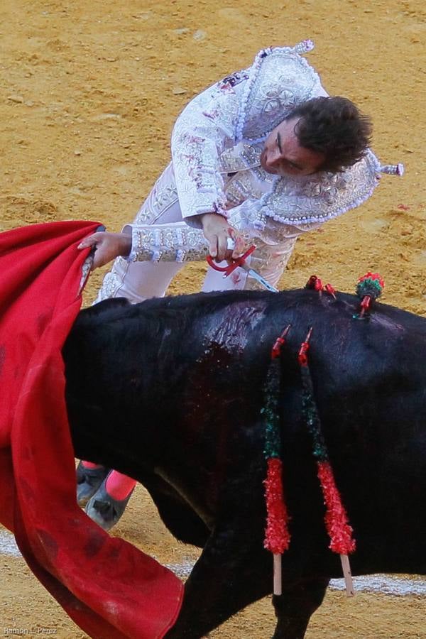 ...Y David volvió a ser el gran &#039;Fandi&#039;