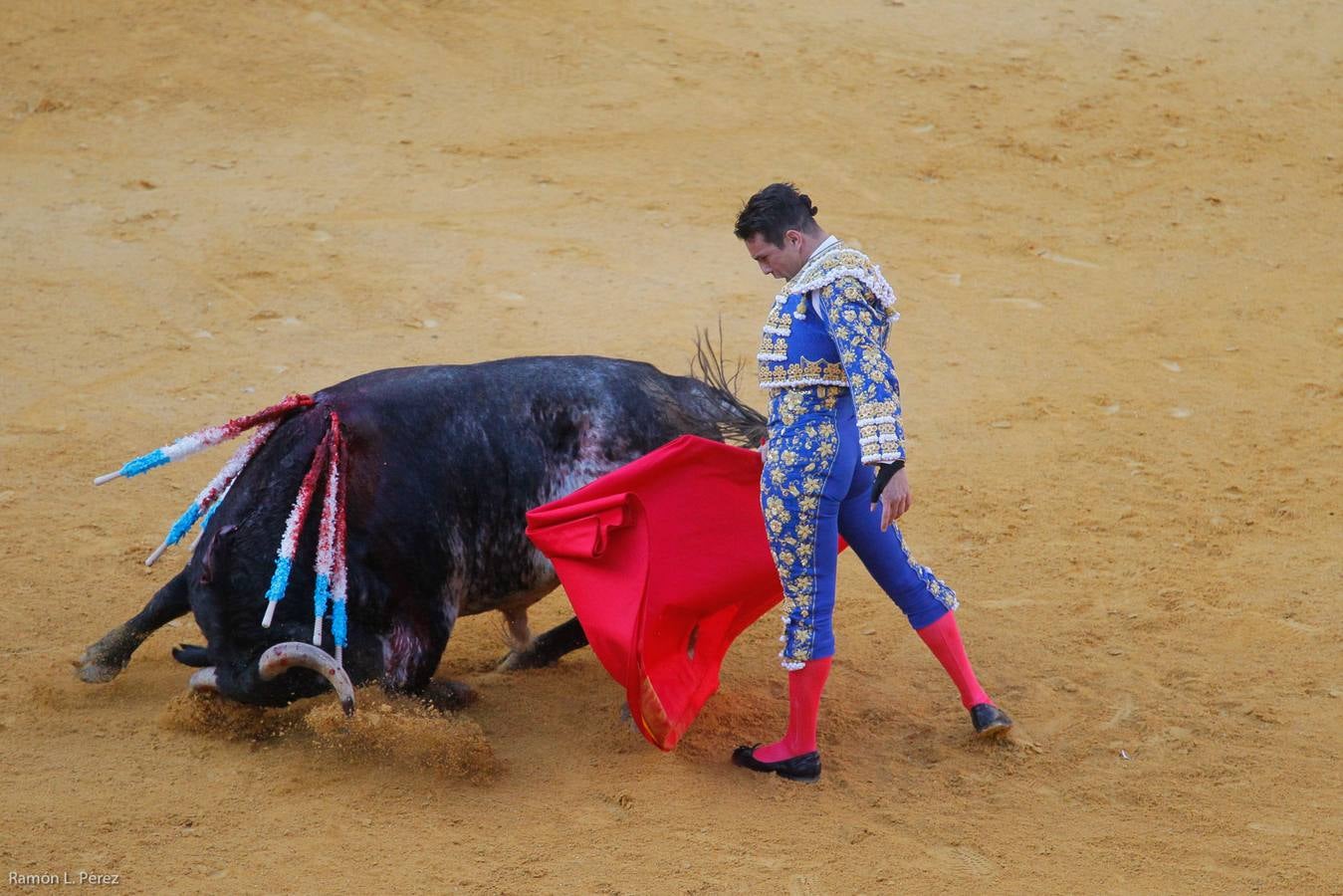 ...Y David volvió a ser el gran &#039;Fandi&#039;