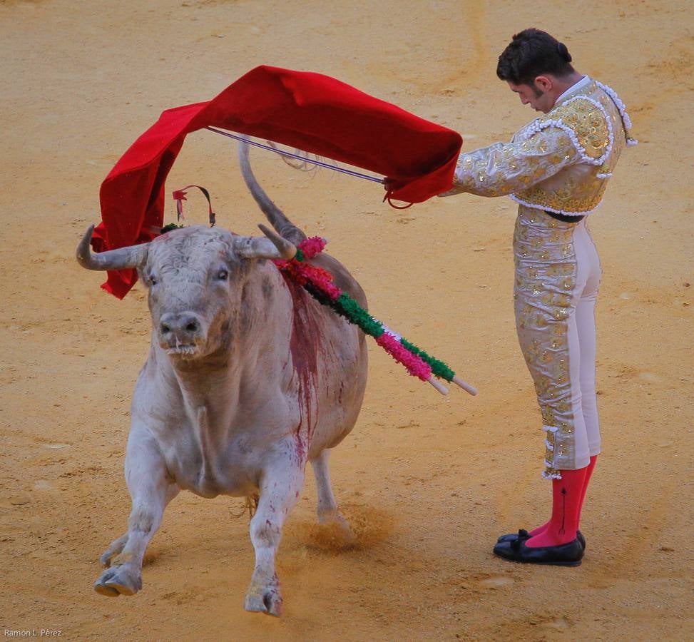 ...Y David volvió a ser el gran &#039;Fandi&#039;