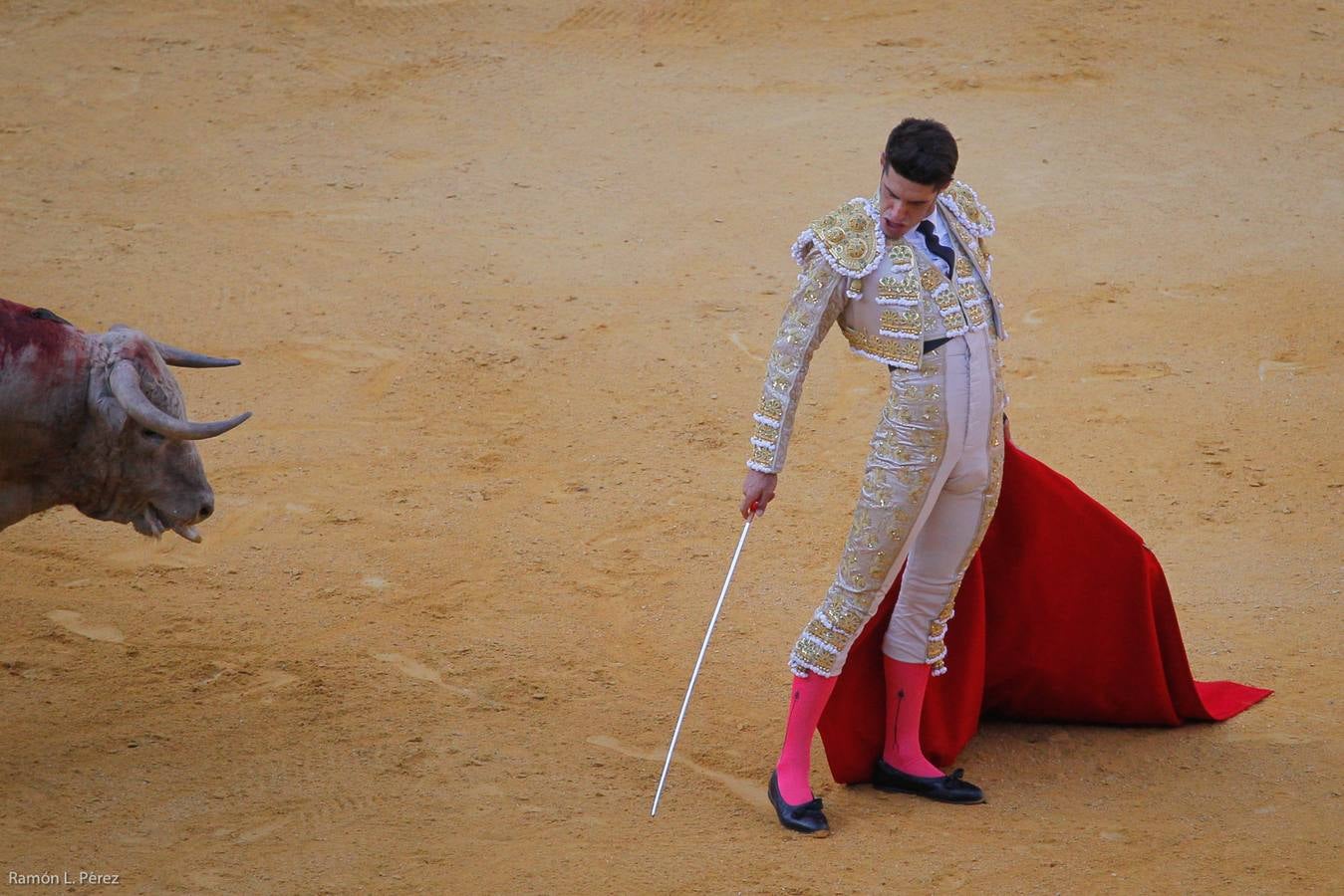 ...Y David volvió a ser el gran &#039;Fandi&#039;