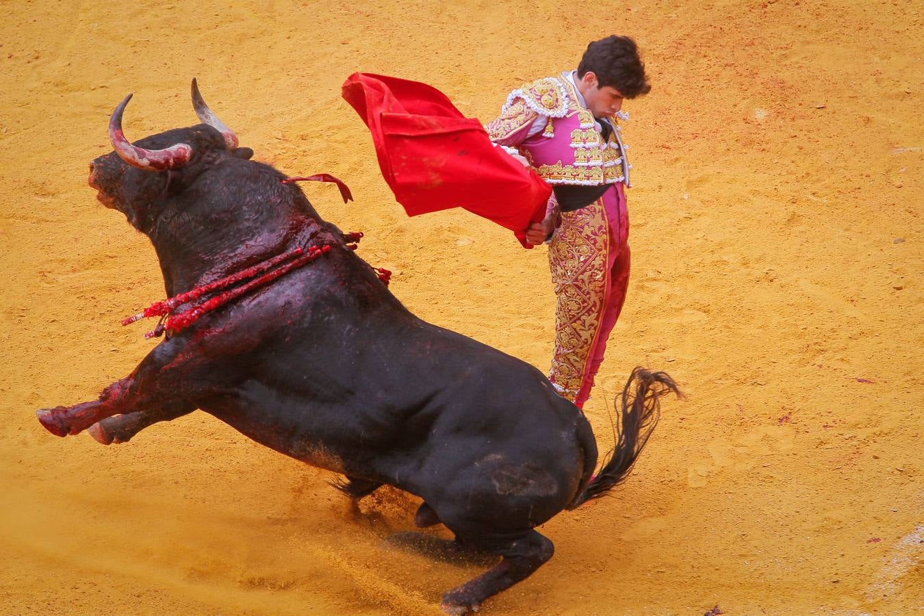 Una tarde muy venida a menos