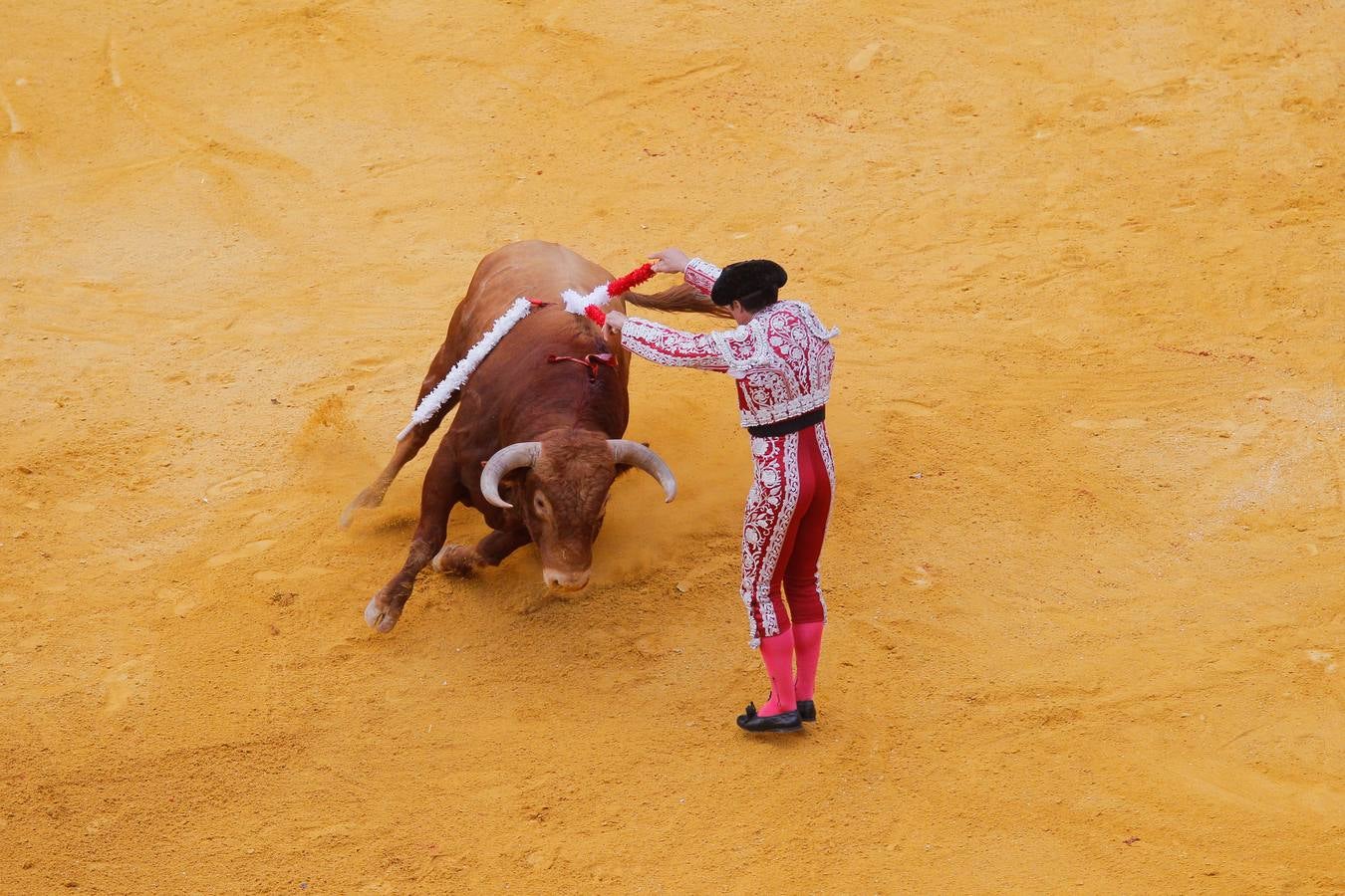 Una tarde muy venida a menos