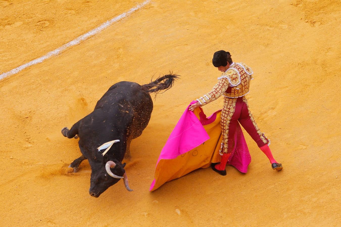 Una tarde muy venida a menos