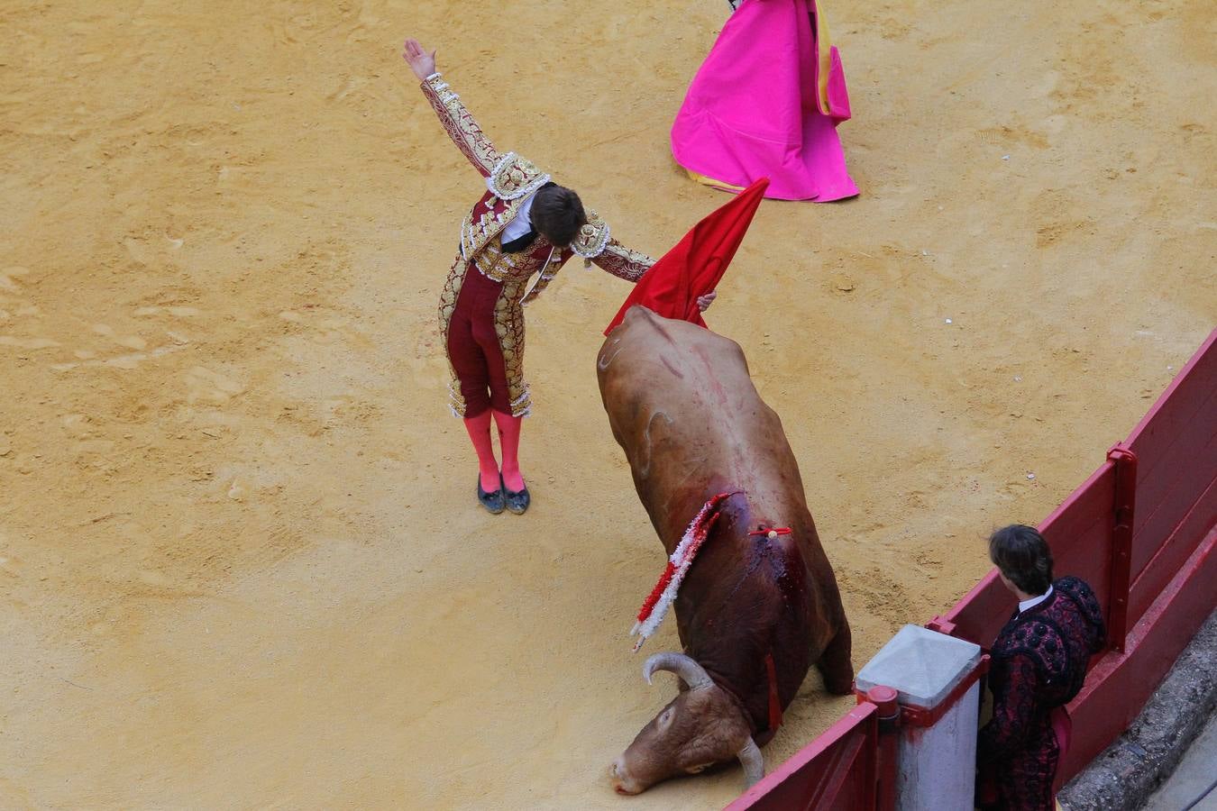 Una tarde muy venida a menos