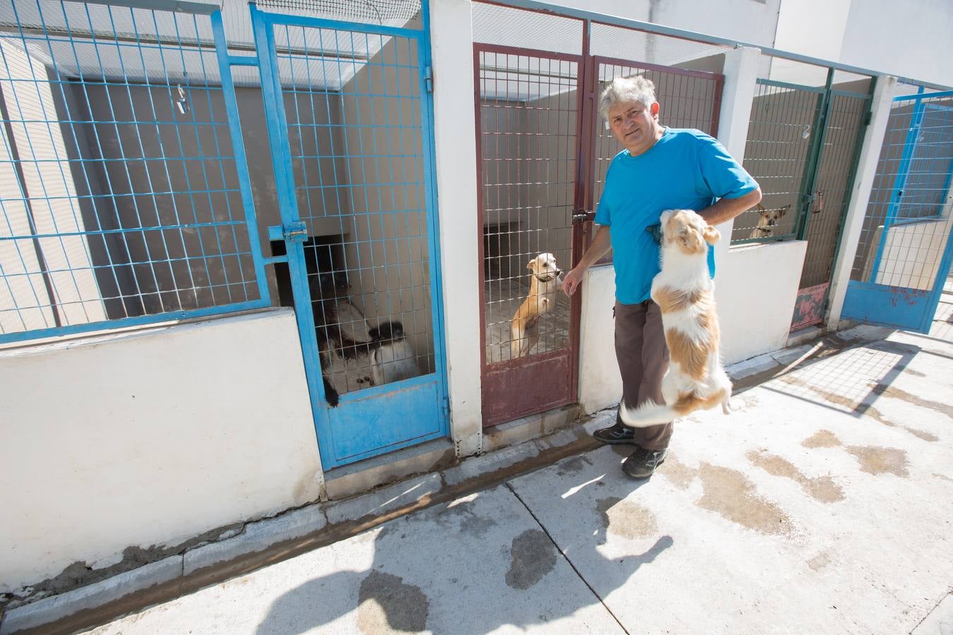 La Protectora de Animales de Granada cierra por primera vez en 70 años