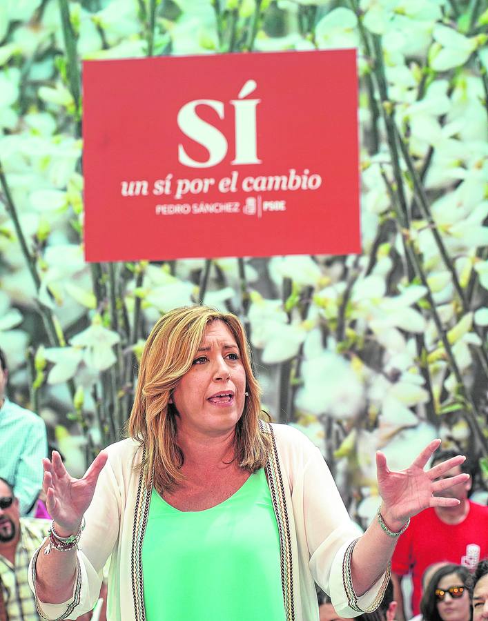 «Se están emborrachando con encuestas»