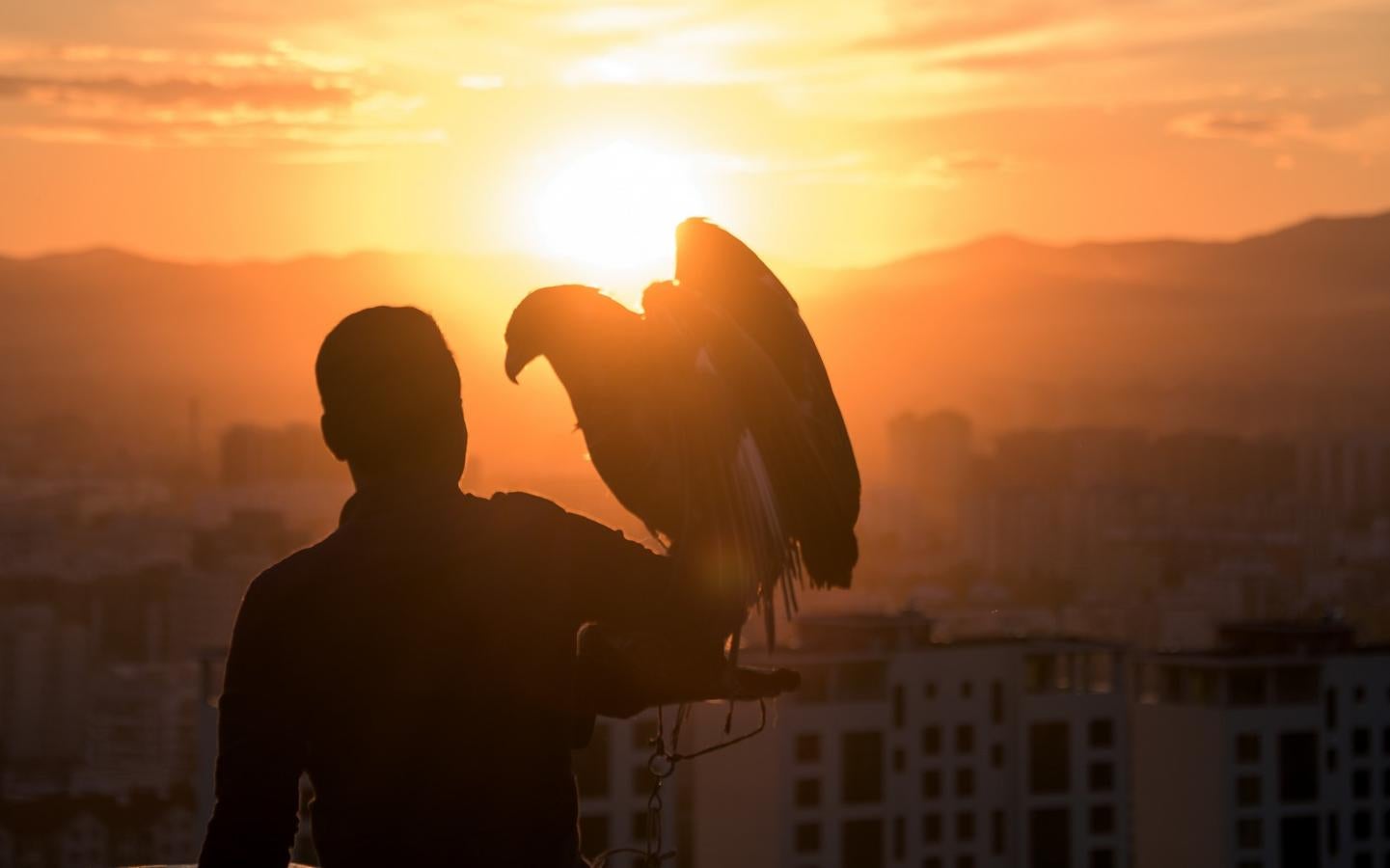 Un turista de Mongolia posa con un águila con vistas a Ulán Bator.
