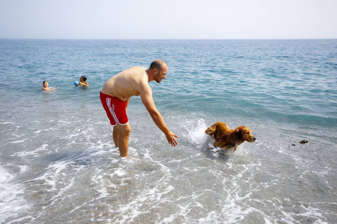 Los perros vuelven a la playa de El Cable de Motril