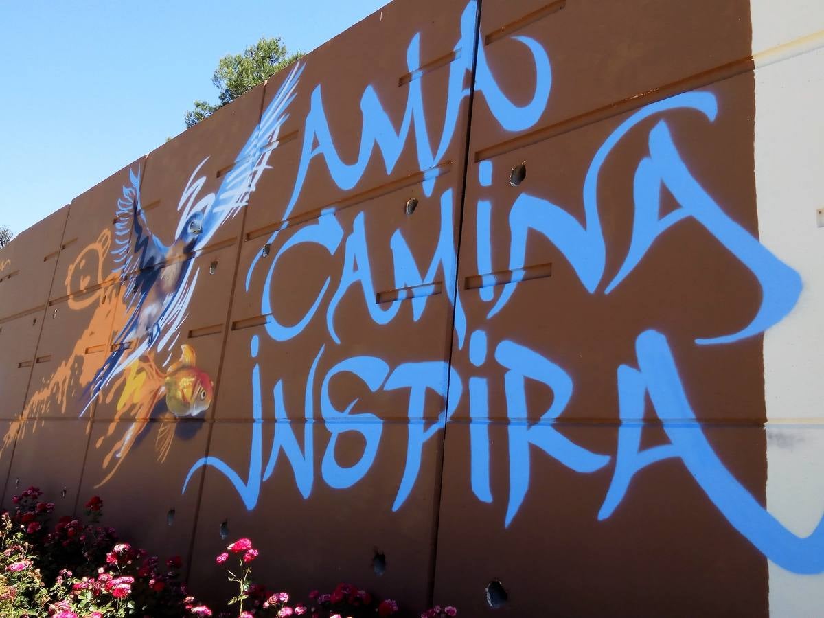 «No podía dejar de dibujar garabatos»