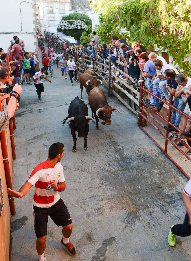Encierros en Gor
