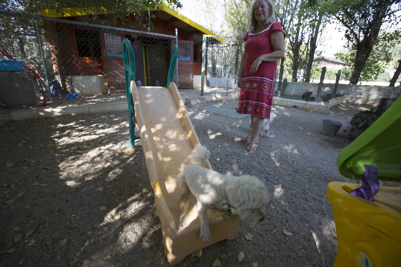 De vacaciones perrunas