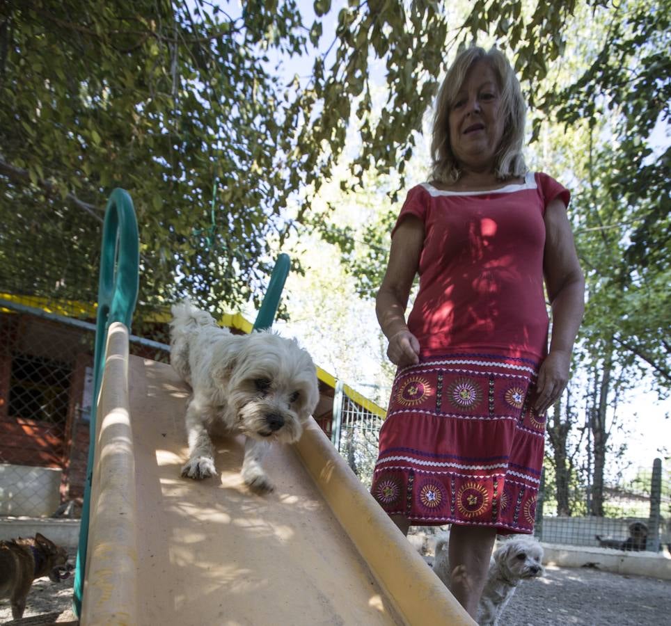 De vacaciones perrunas