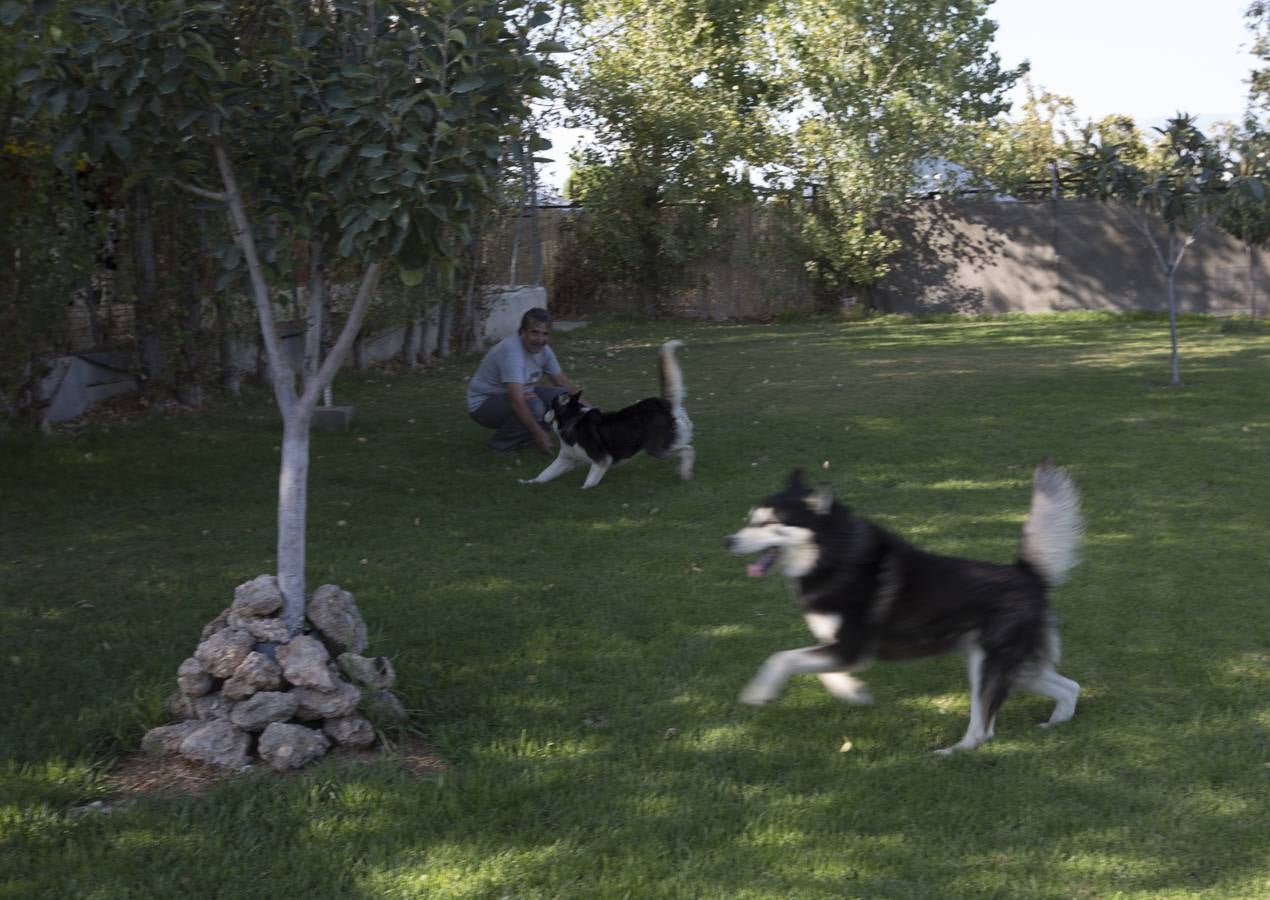 De vacaciones perrunas