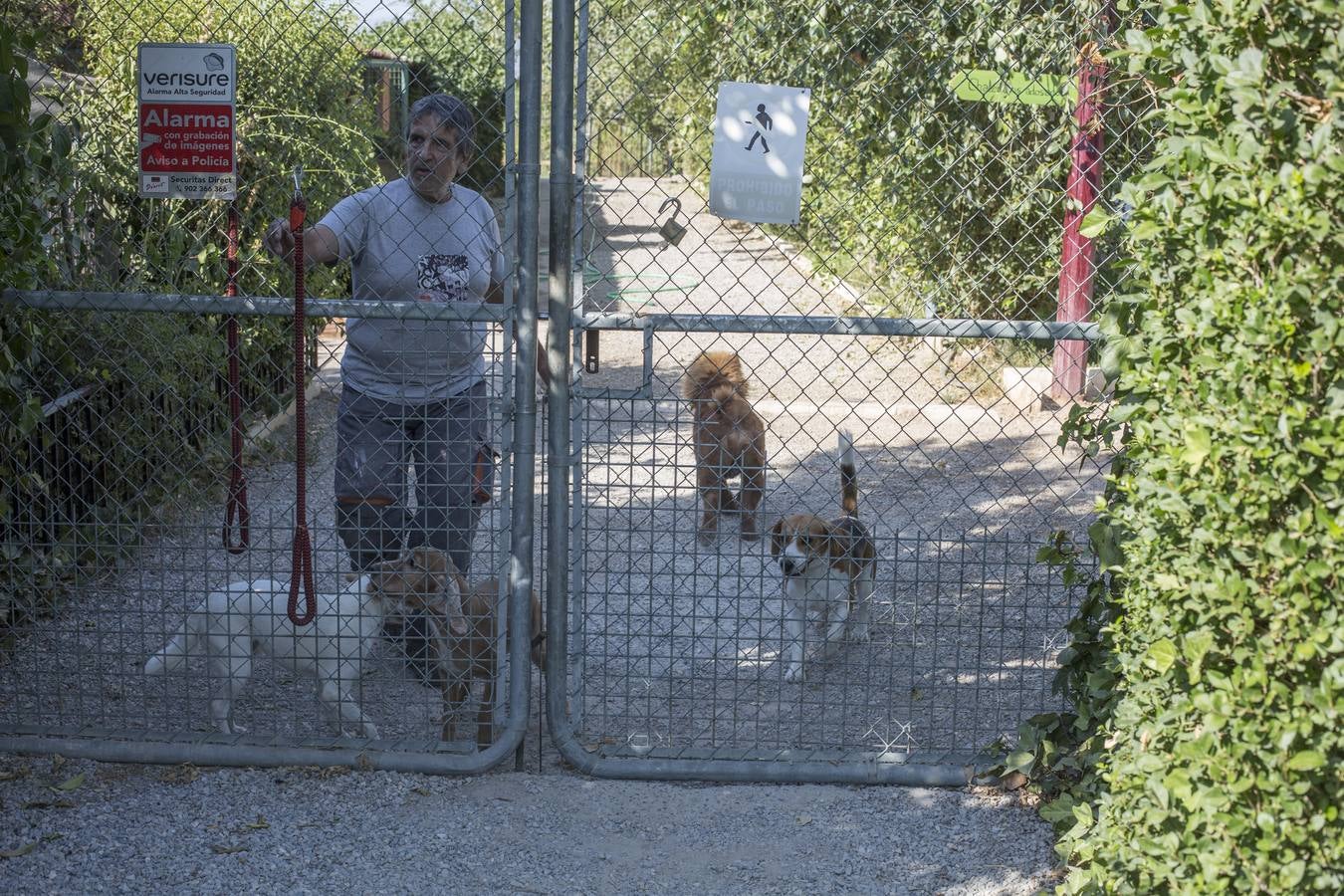 De vacaciones perrunas