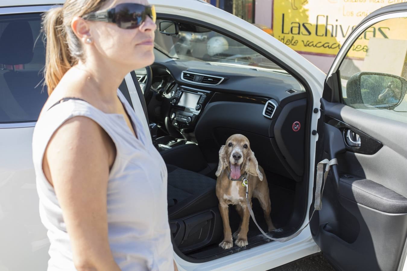 De vacaciones perrunas