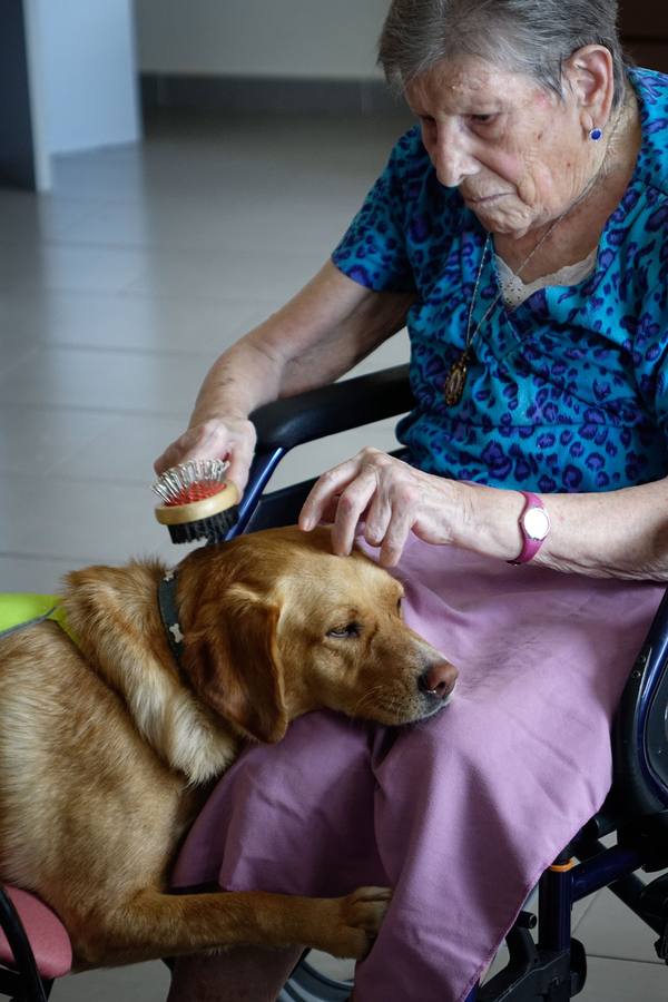 La sonrisa por contacto