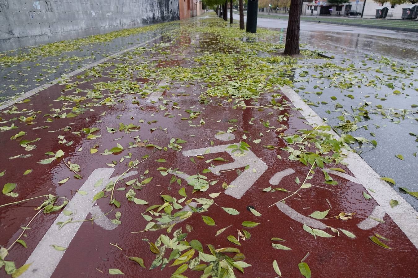 La primera tromba anega calles y obliga a cortar un paso subterráneo