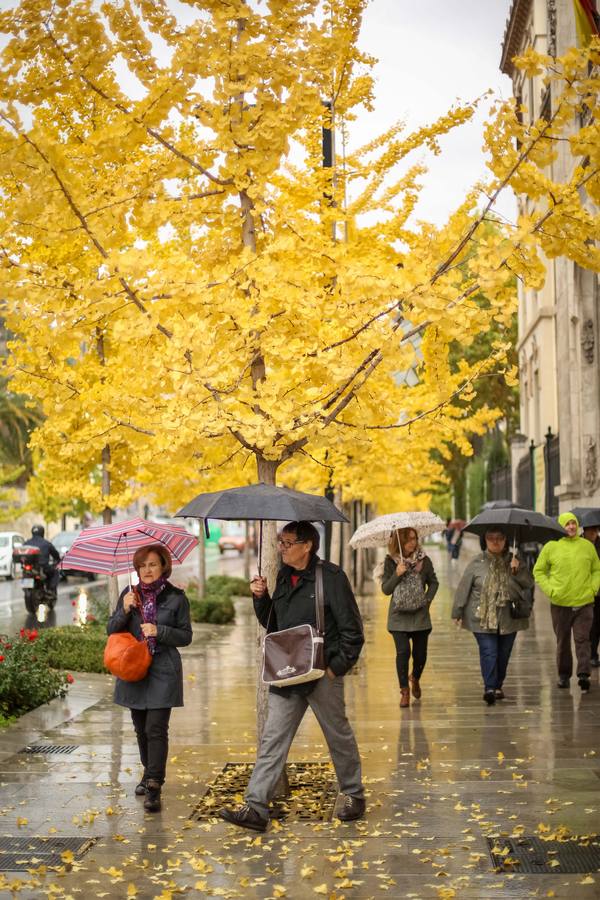 La primera tromba anega calles y obliga a cortar un paso subterráneo