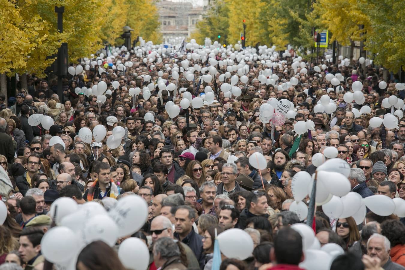 Granada vuelve a gritar para por su sanidad