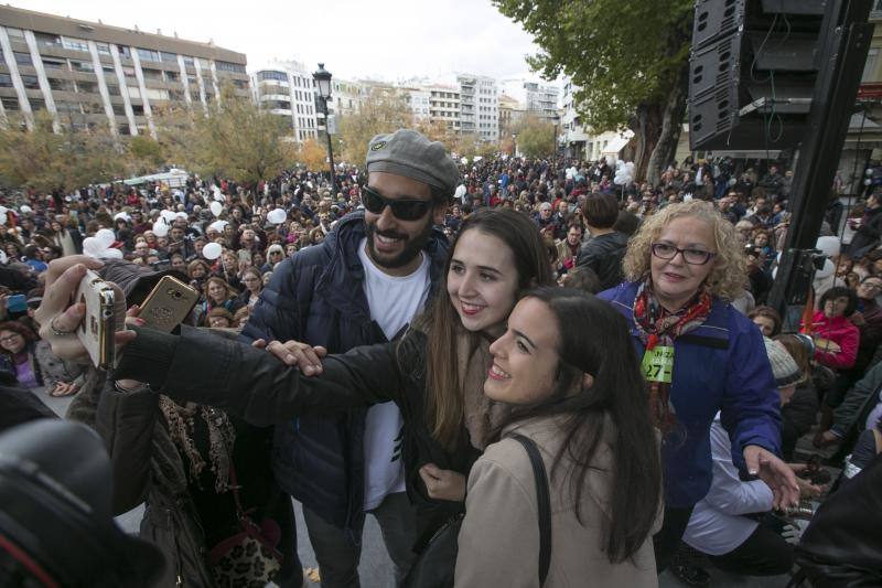 Granada en la calle &quot;por dos hospitales completos&quot;
