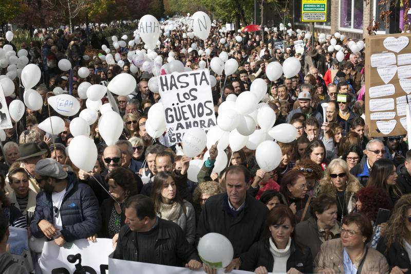 Granada en la calle &quot;por dos hospitales completos&quot;