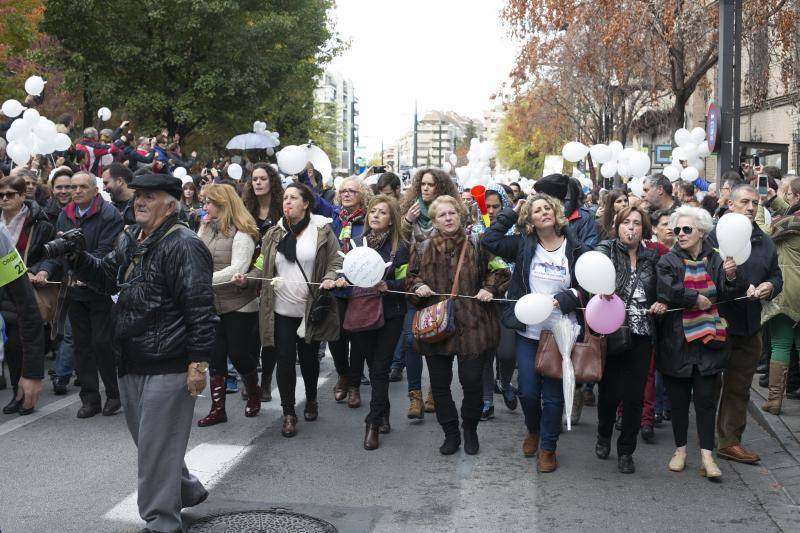 Granada en la calle &quot;por dos hospitales completos&quot;
