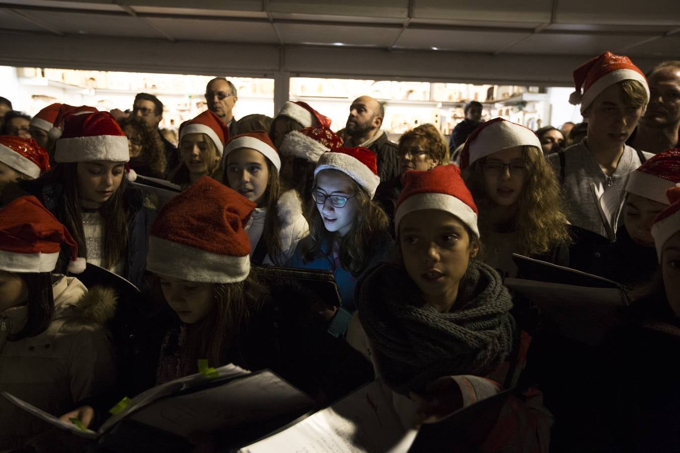 1,5 millones de &#039;leds&#039; iluminan la Navidad de Granada