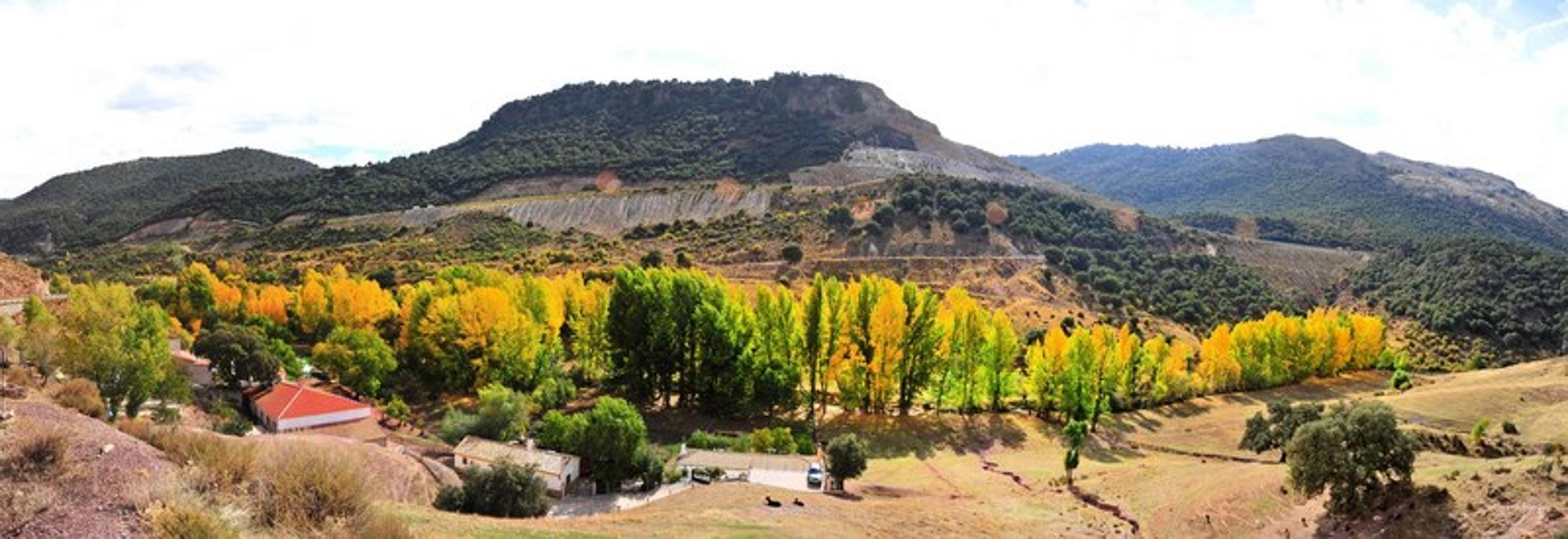 La belleza del otoño tardío