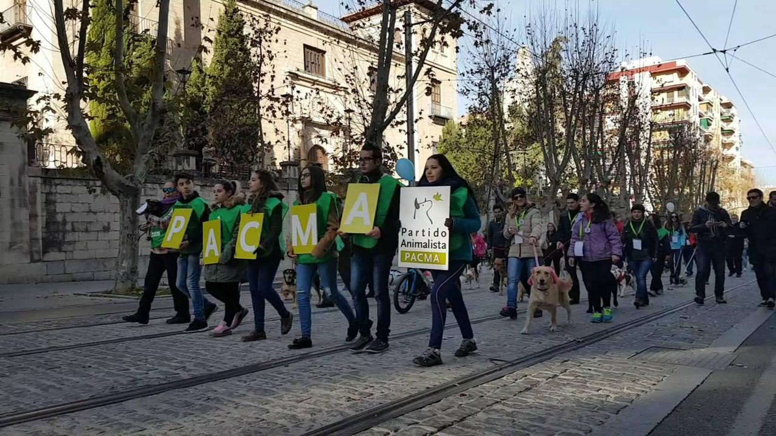 En busca de un hogar