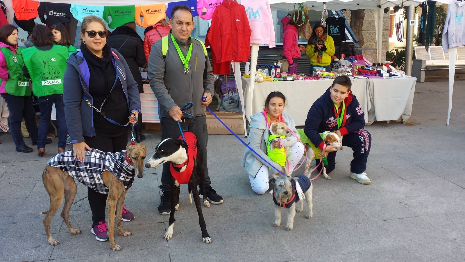 En busca de un hogar