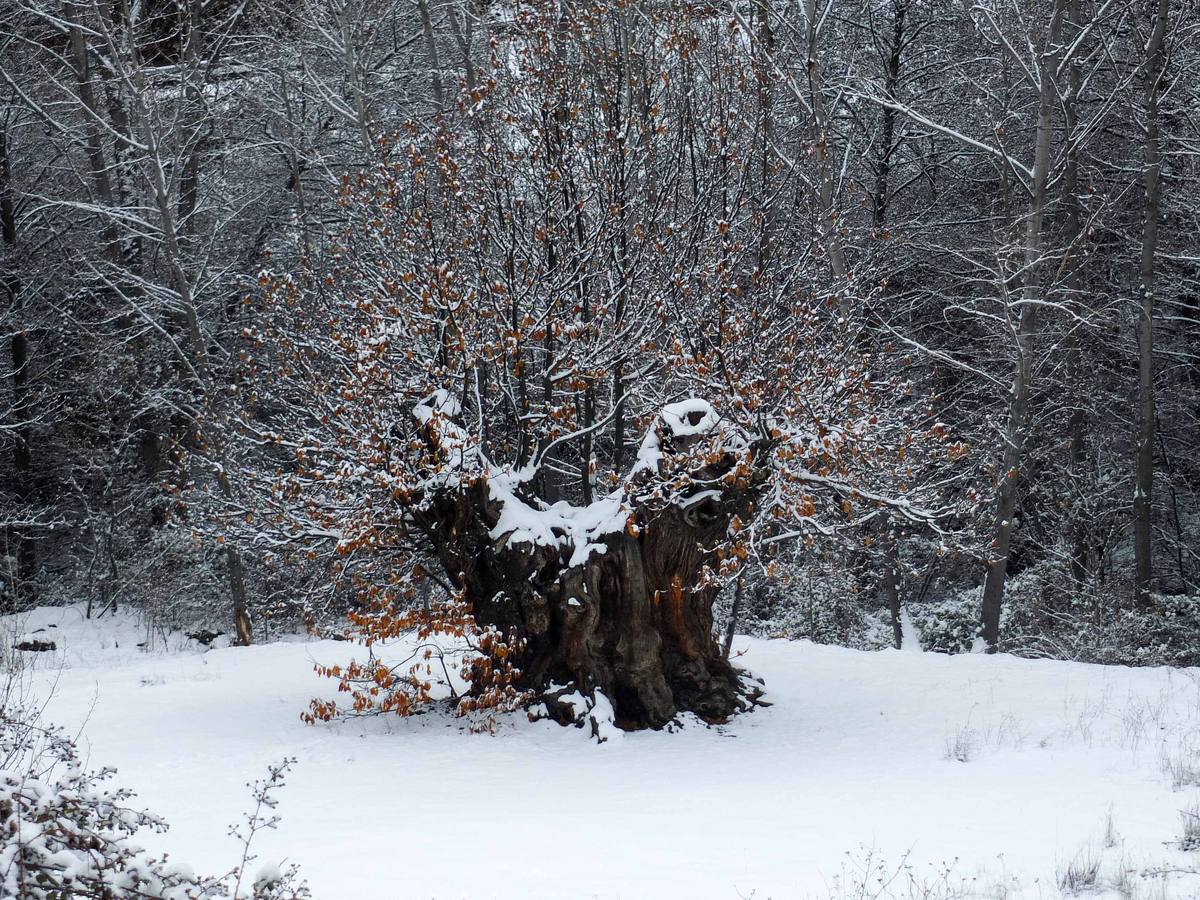 Nieve en la Comarca de Guadix