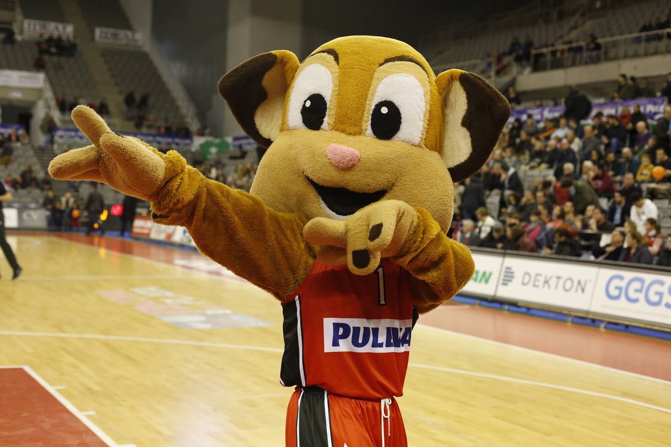 La holgada victoria del Coviran Granada