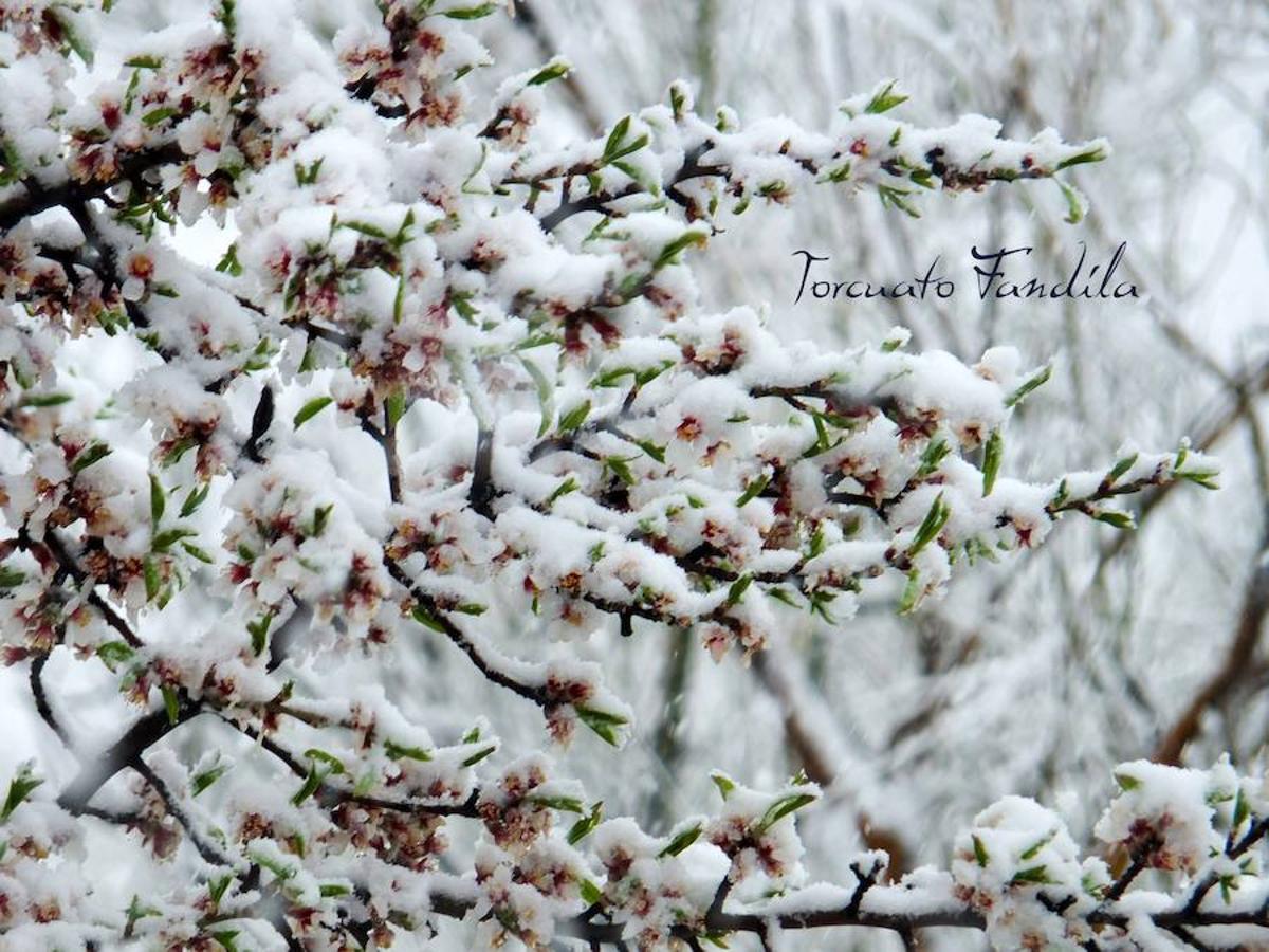 La comarca de Guadix queda cubierta de nieve