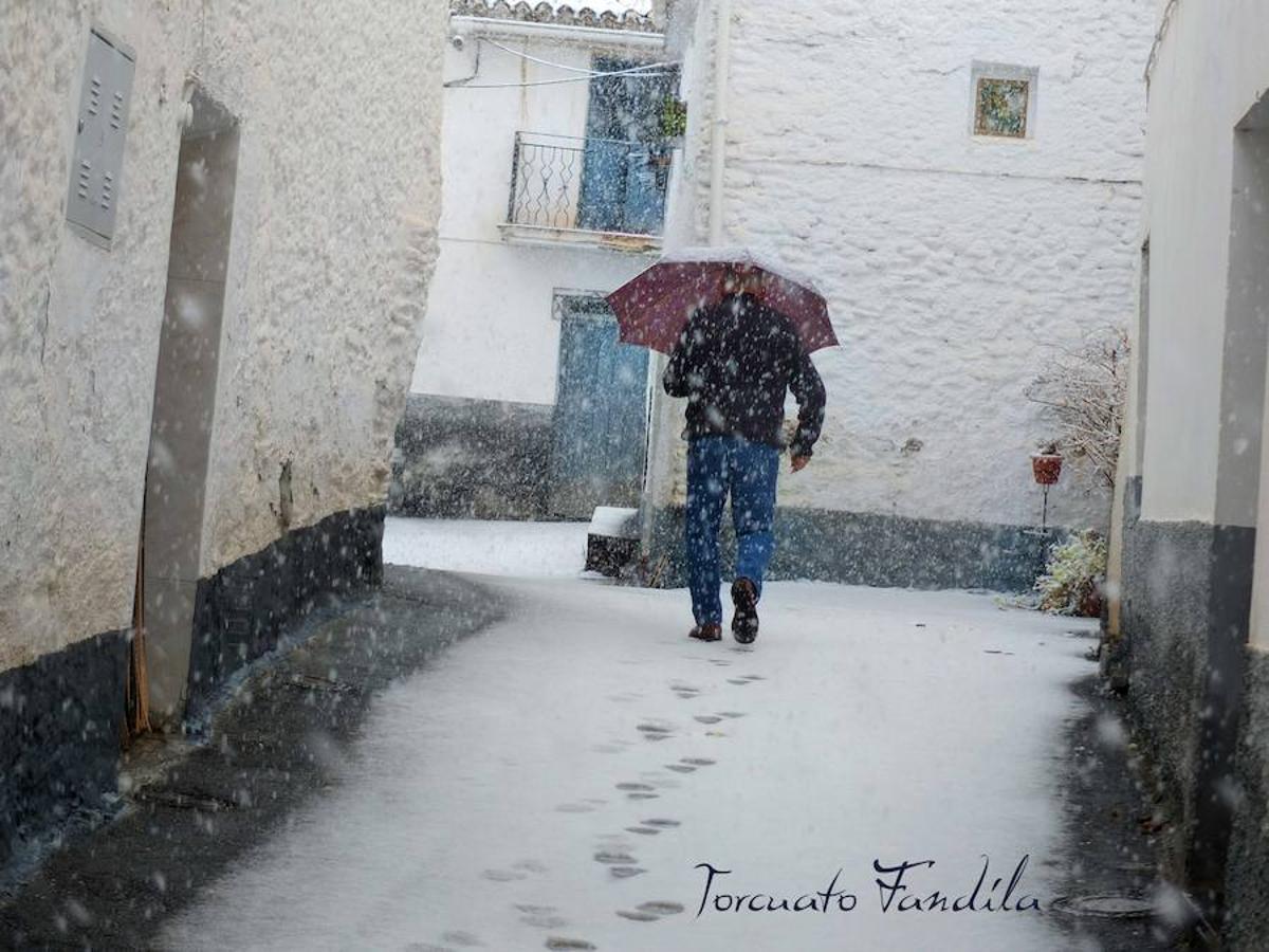 La comarca de Guadix queda cubierta de nieve