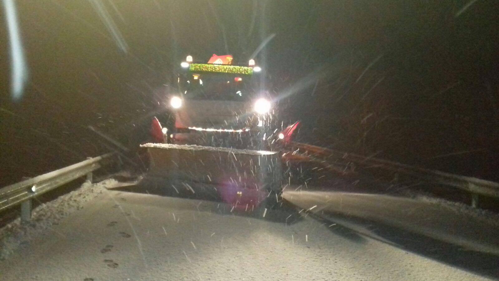 El viento hace estragos en Mengíbar y Mancha Real arrancando árboles
