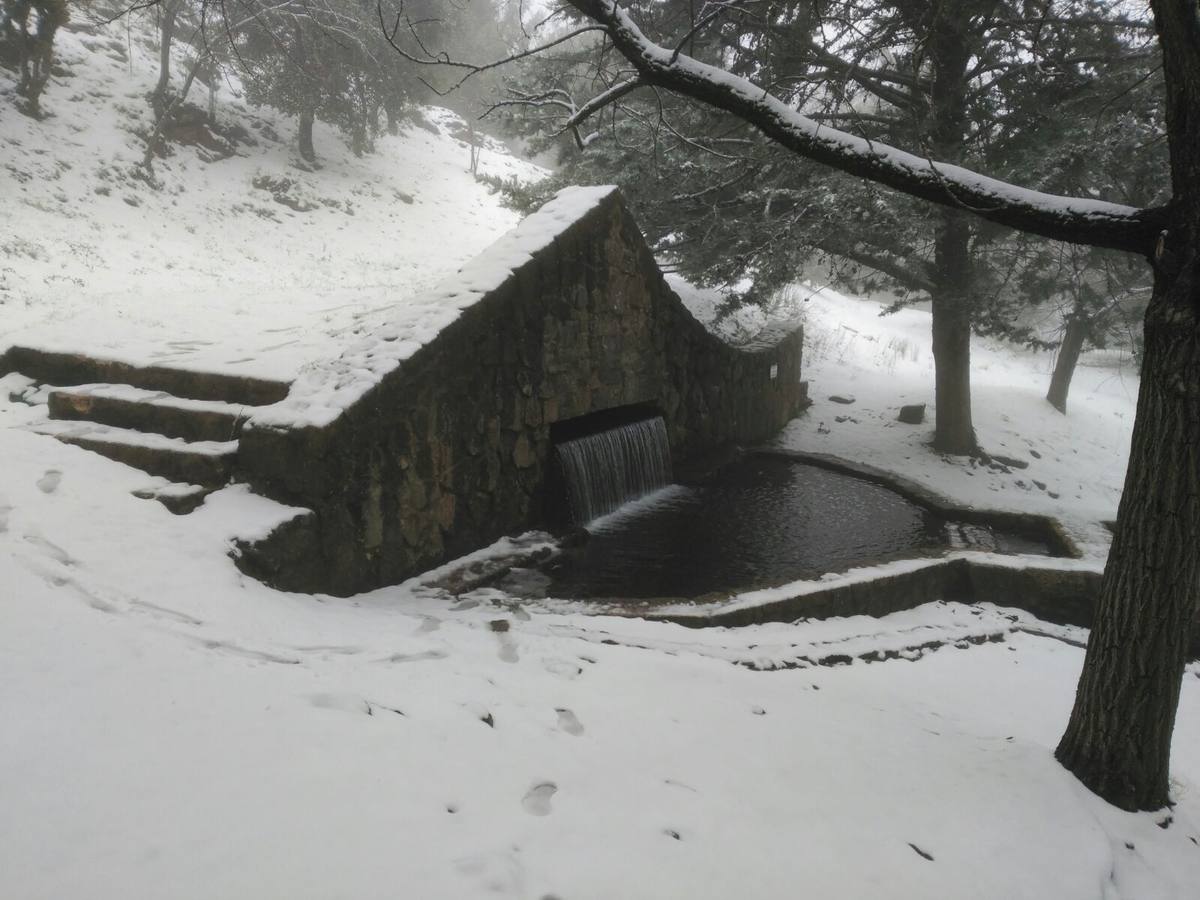 Así ha lucido hoy la provincia helada