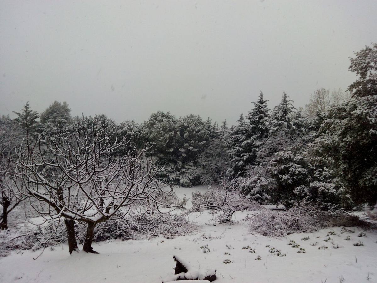 Así ha lucido hoy la provincia helada