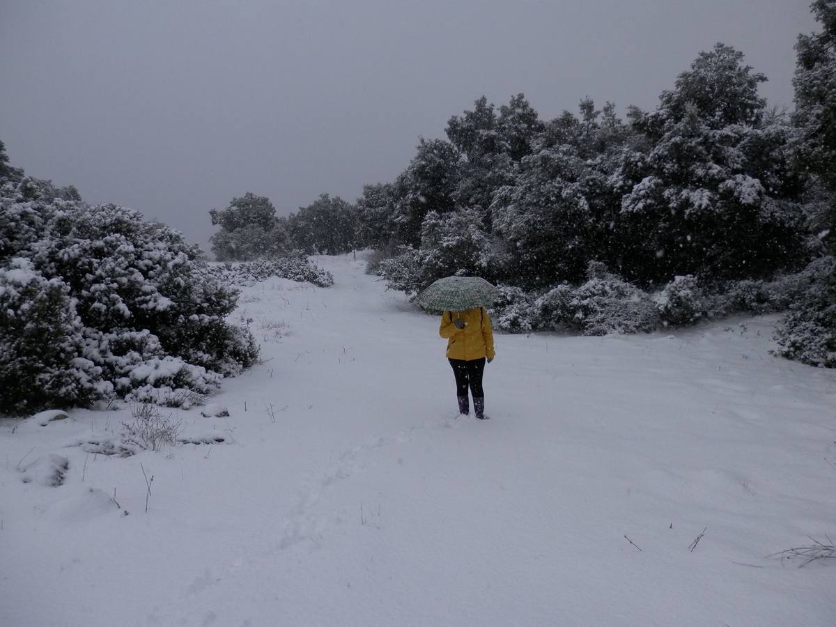 Así ha lucido hoy la provincia helada