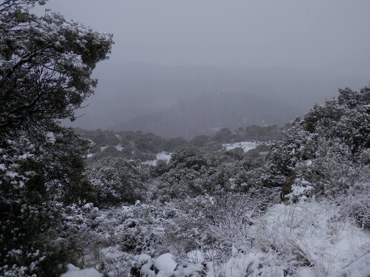 Así ha lucido hoy la provincia helada