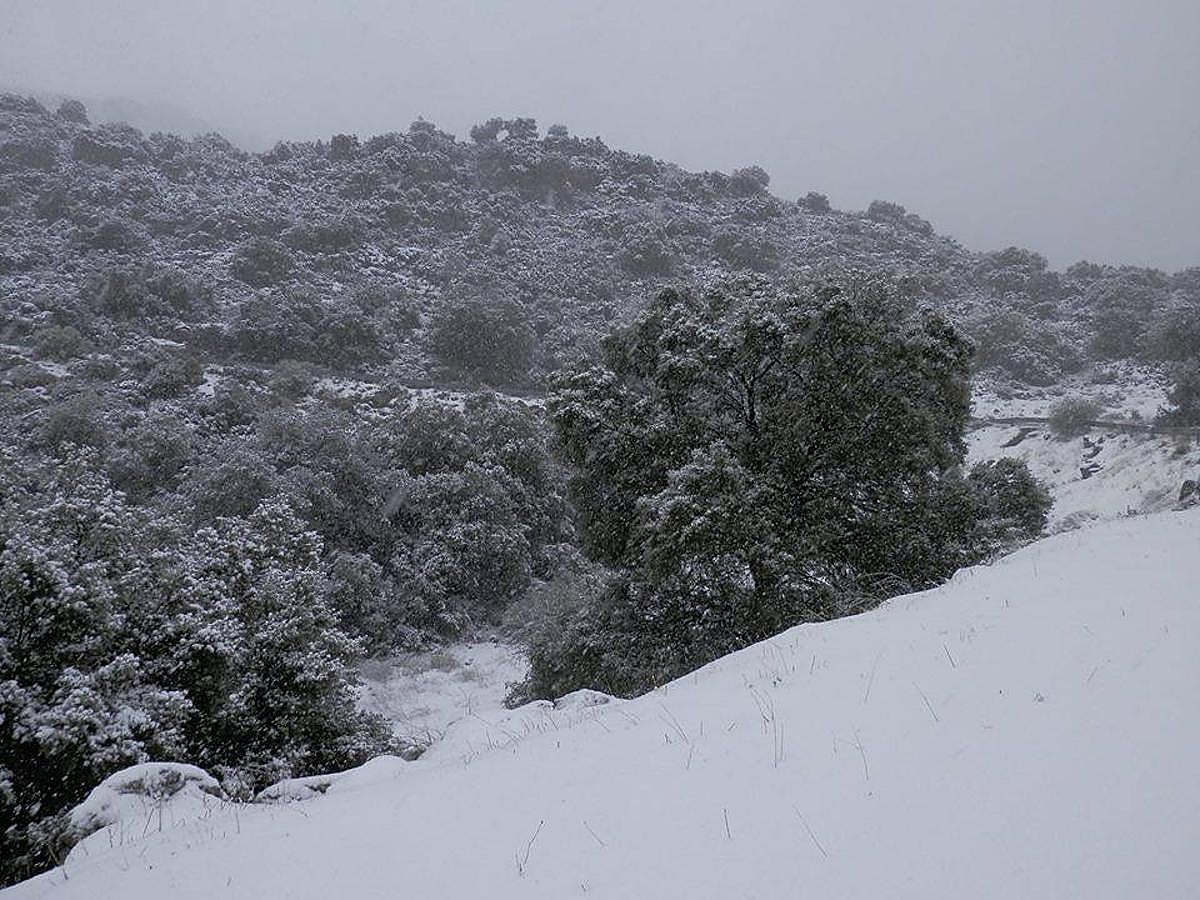 Así ha lucido hoy la provincia helada